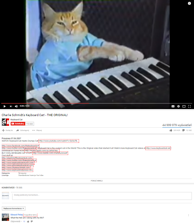 Widok przykladowego filmu w serwisie YouTube