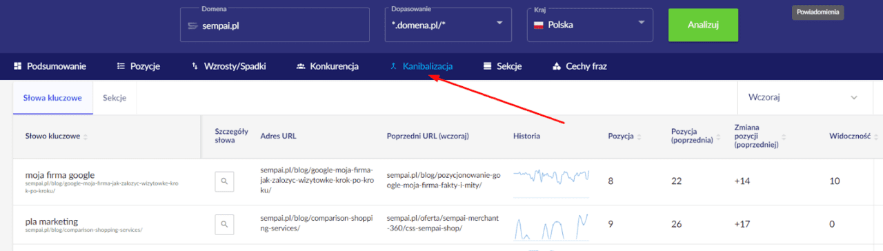 sprawdzanie kanibalizacji słów kluczowych w senuto