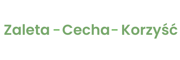 cechy dobrego opisu produktowego