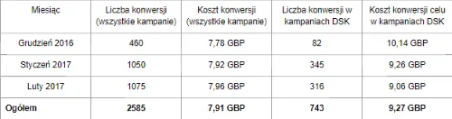 Skuteczność kampanii Adwords w okresie Grudzień 2016 – Styczeń 2017