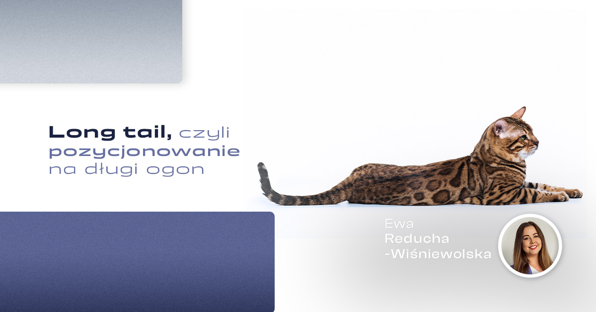 long_tail-pozycjonowanie