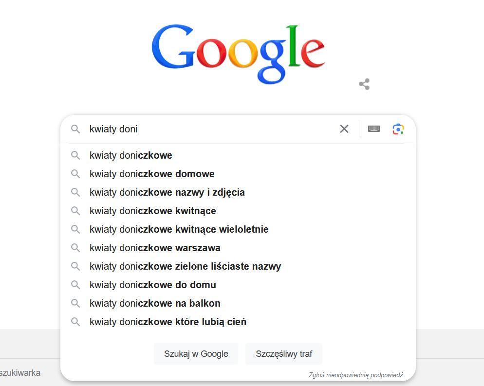 Frazy pojawiające się w wyszukiwarce Google przy wpisywaniu frazy kluczowej