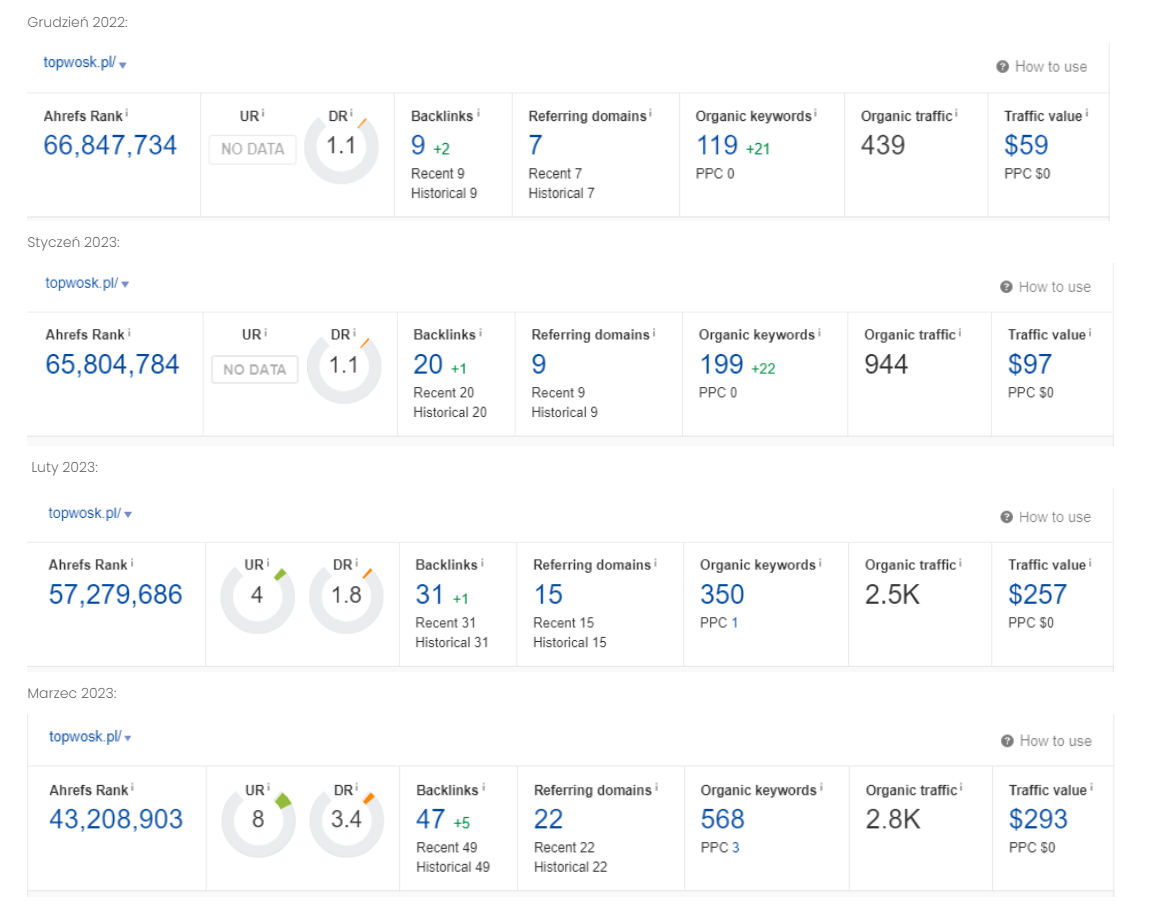 seo case study - efekty w ciągu 5 miesięcy