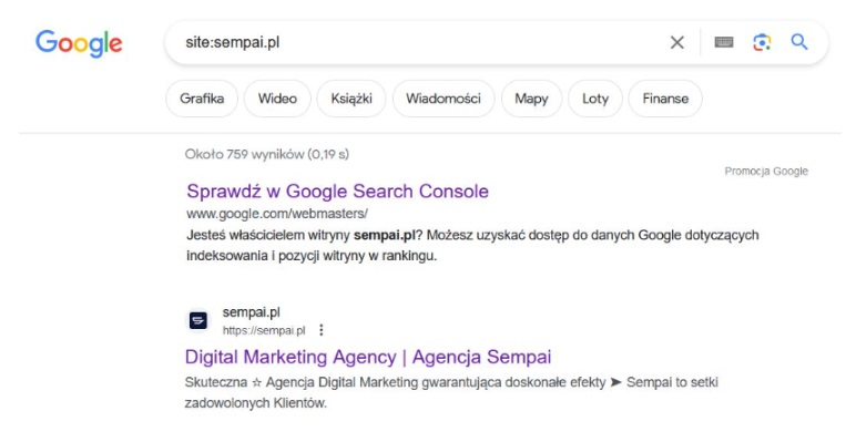 wyszukiwanie strona za pomocą komendy site