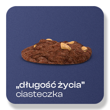 02 dlugosc ciasteczek